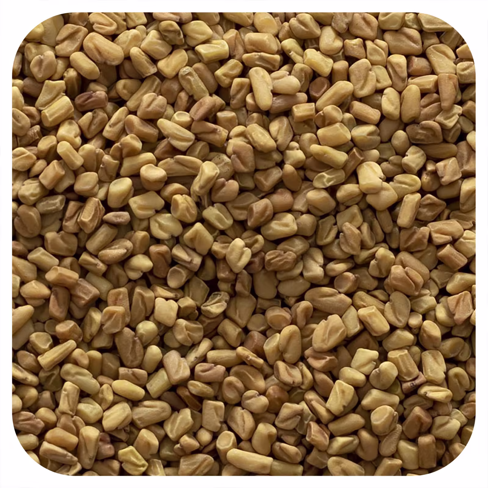 mustard Seeds